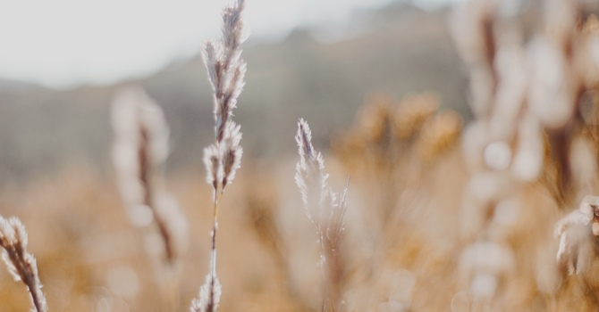 Aleph Tav Body Touch Therapy