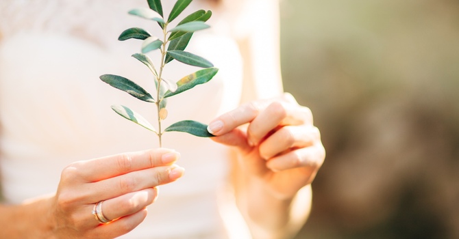 Aleph Tav Body Energy Medicine