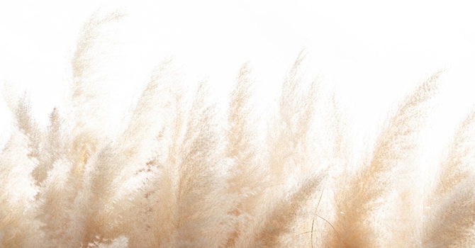 Initial Personal Training Consultation